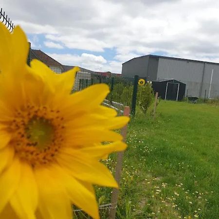 Chambre Calme Dans Une Maison Neuve Avec Jardin Billere Zewnętrze zdjęcie