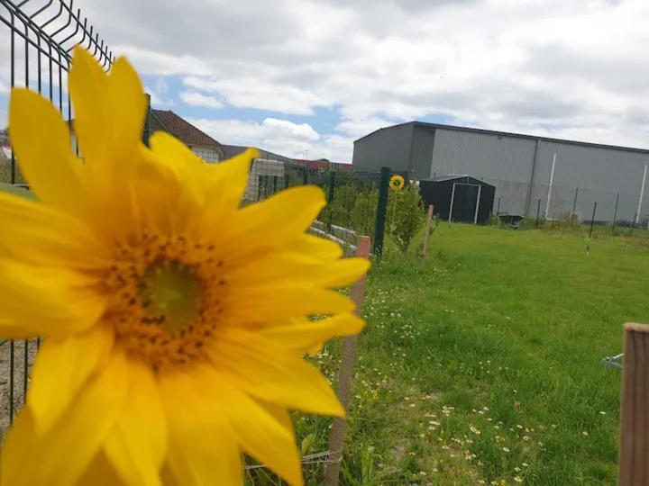 Chambre Calme Dans Une Maison Neuve Avec Jardin Billere Zewnętrze zdjęcie